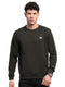Men Olive Solid Round Neck Full Sleeve Sweatshirt