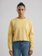 Women Yellow Solid Round Neck Full Sleeve Sweatshirt