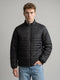Men Light Green Solid Collar Full Sleeve Puffer Jacket