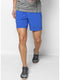 Men Light Blue Smart Fit Shorts