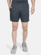 Men Grey Regular Fit Shorts