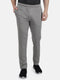 Men Grey Regular Fit Lower