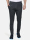 Men Grey Regular Fit Lower
