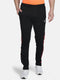 Men Black Regular Fit Lower