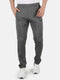 Men Grey Regular Fit  Lower